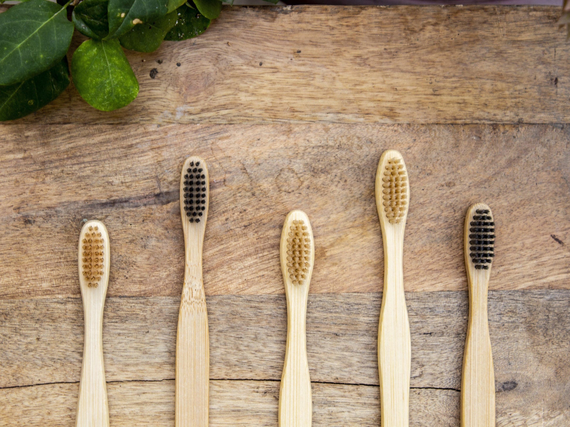 Ultra Soft Bamboo Toothbrush - The Umbrella store