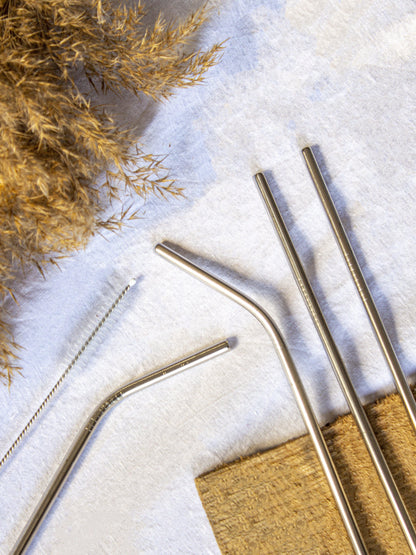 Reusable Stainless Steel Straws - The Umbrella store