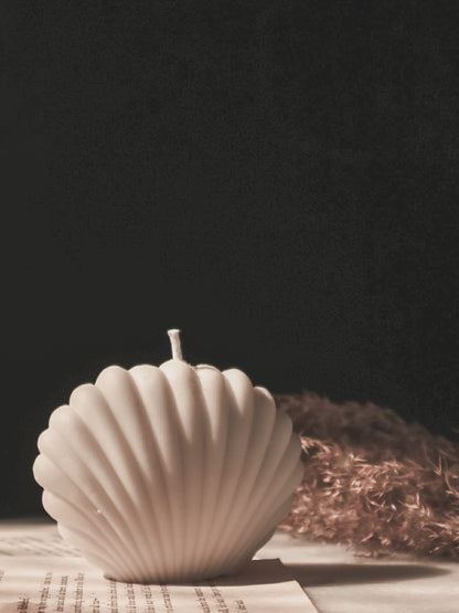 Sea shell candle - The Umbrella store