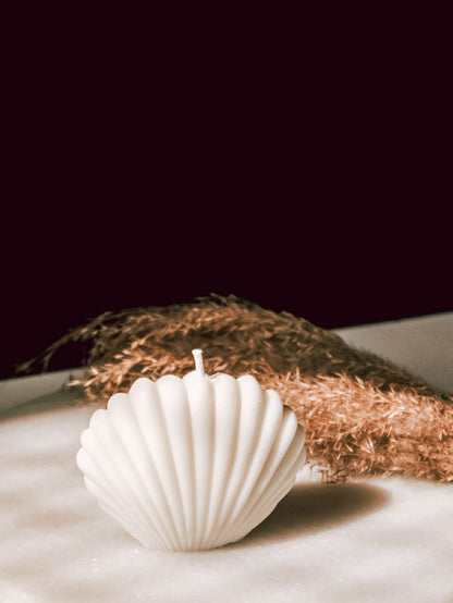 Sea shell candle - The Umbrella store