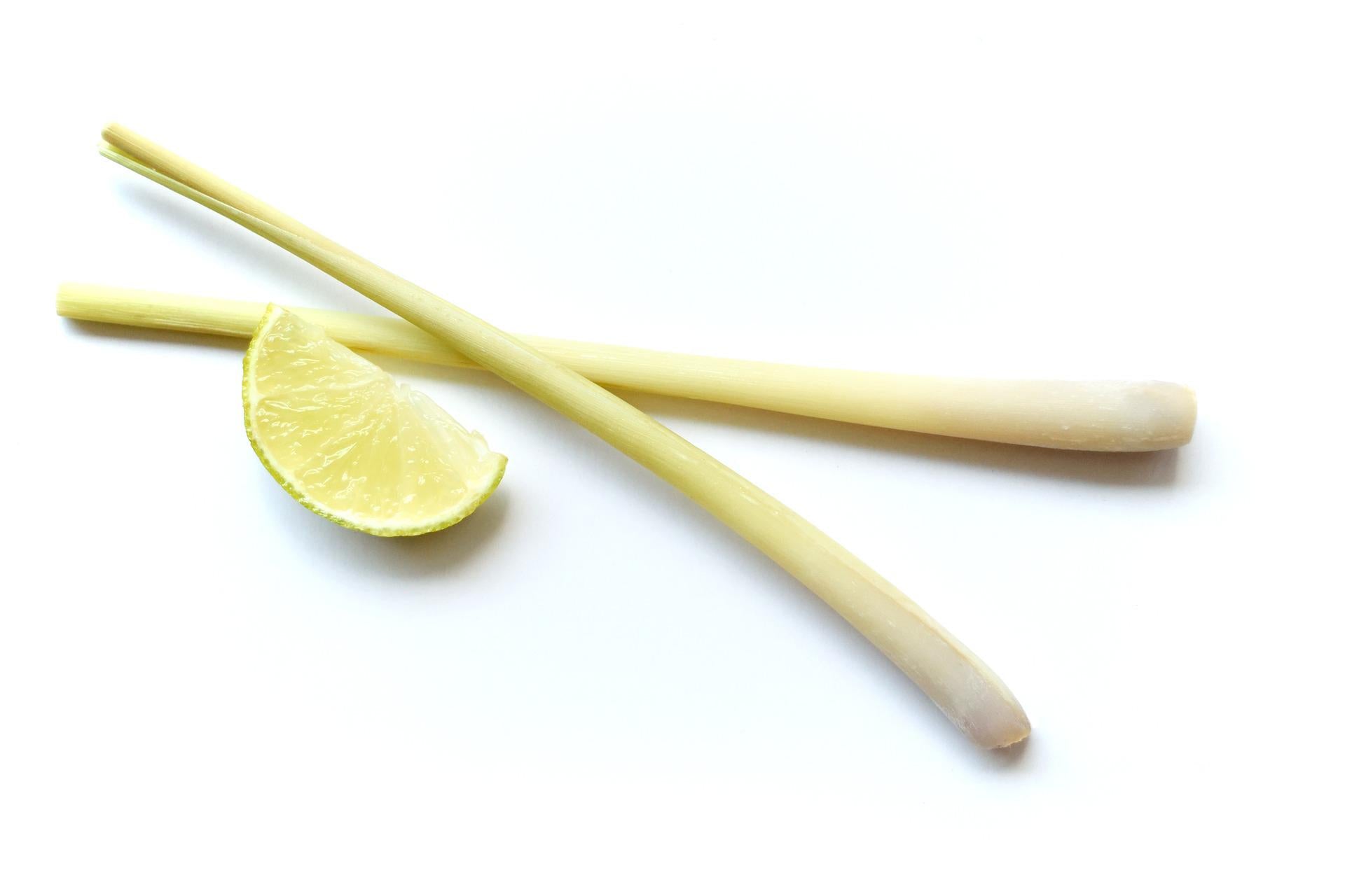 Fresh Lemongrass Snap Bar Wax Melts - The Umbrella store